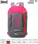 Mochila EVERLAST 09889 Runing Roj-Gri 10 Lts