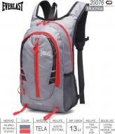 Mochila EVERLAST 20076 Runing Gri 13 Lts